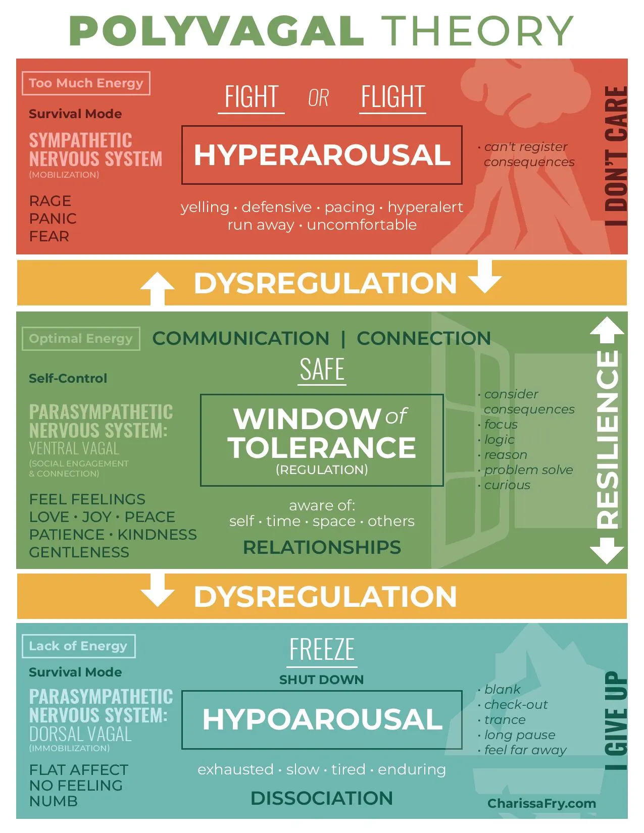 Understanding Hyperarousal Through the Lens of Polyvagal Theory